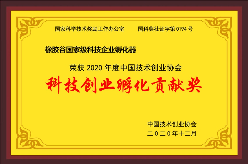 中国技术创业协会-2020年度科技创业孵化贡献奖-香蕉视频在线网址国家级科技企业孵化器-2020.12